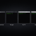 Windowsのターミナル・SSHクライアント比較：Windows Terminal / RLogin / PuTTY / Tera Term